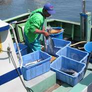 【自ら市場に足を運ぶ理由。それは、お客様の笑顔の為に】