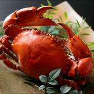 幻のどうまん蟹