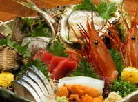 季節にあわせて旬の素材が揃います。ご希望の魚貝類や料理がございましたらお気軽に御相談ください。