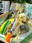 ワニのような恐い顔に巨大な背ビレ。食べる所も少ないのですが、脂ののった白身は甘くとろけるよう。