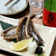 全国的にはあまり知られていませんが、白身で脂も乗っており、たいへん上品で美味なお魚です！