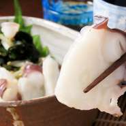 クエン酸がエネルギーの代謝をスムーズにして疲労物質を分解してくれます。