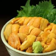 太平洋の旨みたっぷりのウニをあつあつの御飯にのせて、贅沢に召し上がれ！