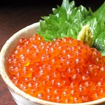 かにみそ/ほや塩辛/ほたるいか沖漬/ホタルイカ墨づくり/カツオの酒盗/岩海苔くらげ/鯛わた…