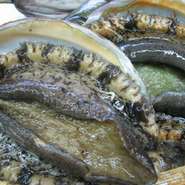 刺身や踊り焼き、天ぶら、バターで焼いてワインと醤油で味をつけ、レモンを添えて召し上がっても美味。