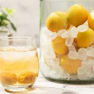 どれにしようか迷っちゃうけど、お好みでどうぞ　【全24種類】