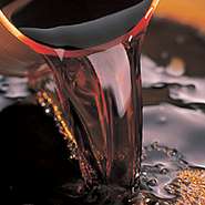 こだわり　其の五　《醤油》