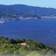 ペットボトルのお水は、地球温暖化や地産地消に反する？