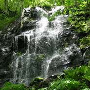 【年中無休で稼働している冷蔵庫などの厨房機器に着目しました】