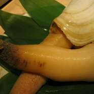 北海道から九州まで広く棲息し、瀬戸内海や三河湾などの内湾で多くとれ、非常に甘みがあり美味です。