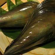 瀬戸内海では「立ち貝（たちがい）」と呼ばれ、海底で尖ったほうを砂泥に突き立てているためであるという。