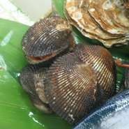 高級な食材ですので吟味して買ってきてます。ご希望であればお寿司もできます。裏メニュー？