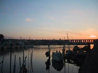 ここは豊富な養分に恵まれた魚にとっては最高の楽園である。というのをご存じですか?