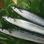 初夏、最北の漁場で限定的に小型船だけでのサンマ漁は始まる。この時期のサンマは値段も驚くほど高くなる。