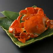 どうまん蟹は近年漁獲量が極めて少なくなり、雄雌の指定や、大きさの指定などが承ることができかねます。