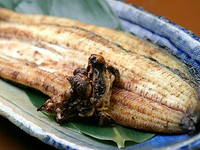 ◇◆◇　浜松に来たら 『浜名湖うなぎ』 を思う存分召し上がってください!!　◇◆◇