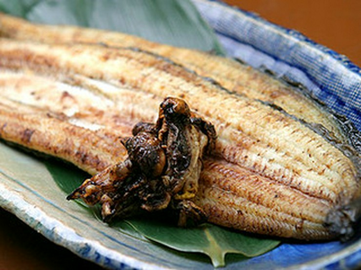 魚料理専門店 魚魚一 浜松駅周辺 和食 ディナーコースメニュー ヒトサラ