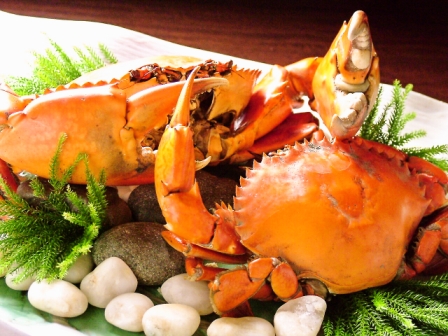 The blissful "Exquisite Douman Course" where you can enjoy the "mythical Douman crab"