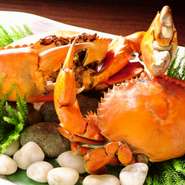 ※天然の魚貝類のため、季節や天候など仕入れの状態で料理内容が、若干変更になる場合が少なからずございます。 

大事なお客様のご接待や、特別な記念日にぴったりの【おもてなしプラン】です！