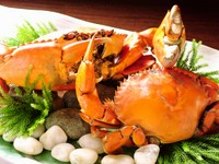 ◇◆◇　一度は食べてみたい【浜名湖のどうまん蟹】が、リーズナブルなコースで登場!!　◇◆◇　