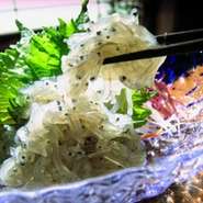 魚魚一は　【年中無休】 になりました！

とれたてのシラスは「苦み」が少なく、むしろ甘くさえ感じるほどです。

その甘味（うま味）を浮き立たせているのは、この苦いと感じさせない微かな苦みが生しらすの神髄である。

この苦みと甘味と旨味の広がりはいくら食べても飽きない。

食事の〆には、生しらす丼と浜名湖あさりの味噌汁をセットで召し上がるのが、魚魚一流！

