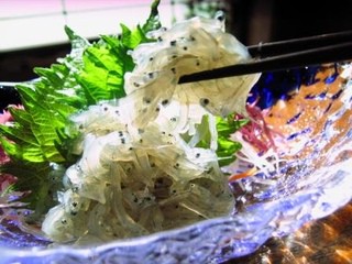 遠州灘産　【生しらす】　朝獲れぴちぴち！　鮮度抜群です。　
