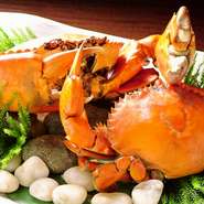 浜松の目の前に広がる遠州灘と浜名湖は、魚介類の豊庫なんです。春夏秋冬、四季を通して様々な食材がとれる事が自慢であり、郷土の誇りです。