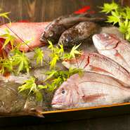 その日一番美味しい鮮魚を仕入れるため、おすすめ料理は日替わりとなります。鮮魚を堪能できるお料理は、店内の日替わりメニューでご確認ください。