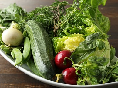 とんびファームの安心野菜のバーニャカウダ