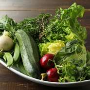 旬を体感、地元の契約農家【とんびファーム】の無農薬野菜