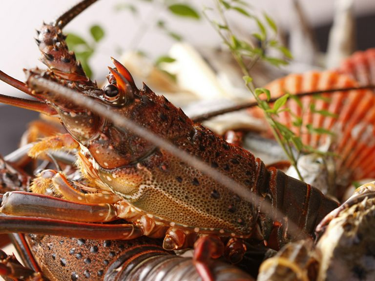 なんといっても魚介類が新鮮で美味!