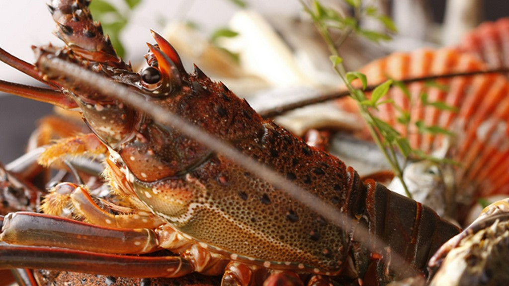 なんといっても魚介類が新鮮で美味！