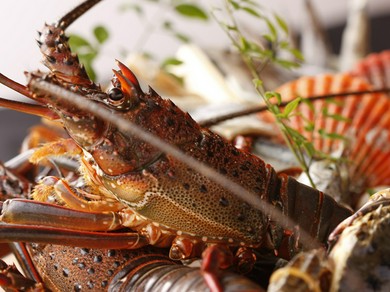 なんといっても魚介類が新鮮で美味！