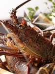 グラム/1,500円~1,800円(税抜)
300g~700g位を常時取り揃えております