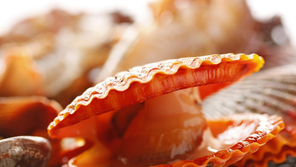 貝焼（炭火焼）