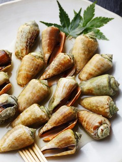 １、土佐珍味　（龍馬伝コース９品）詳しくはコースページを！