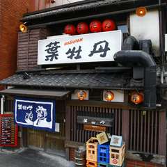 毎度お馴染み葉牡丹の昼顔!!
