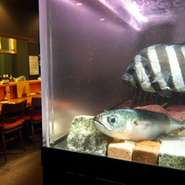吟味した天然の魚料理を中心に海老・貝・蟹などその季節、その日のとっておきを味わってください。	


