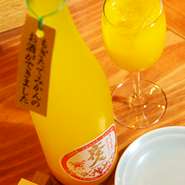土佐の新しい銘酒も取り揃えています