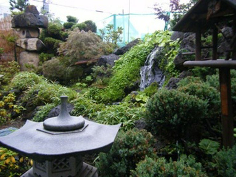 自慢の日本庭園は店内からご覧になれます