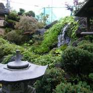 店内から四季折々の日本庭園をご覧下さい。
夜にはライトアップされより雰囲気を醸し出します。