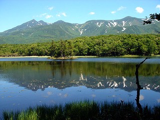 世界遺産の知床に行くなら途中にある当店に寄って見てください