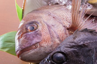 顔合わせなどの大切な席もおまかせください