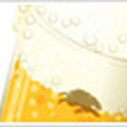 キリリリーンとおいしいジンジャーフレイバーの生ビールです。おいしいです！何杯でもいけます！