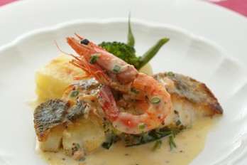 クッチーナ・ヒコ