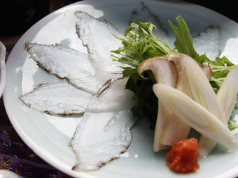 日間賀産活けタコ