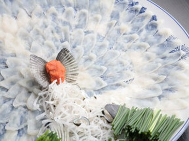 下関直送の旬の「とらふぐ」がオススメ