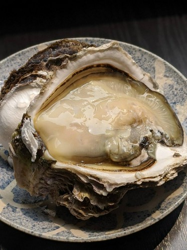 夏が旬の岩牡蠣です。写真は熊本天草産のものです。