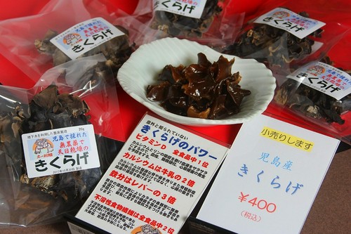 地元倉敷市児島産の「キクラゲ」　販売もしております。