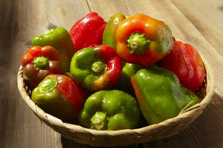 自慢の「地鶏」によく合う、珍しいこだわり「野菜」をご用意